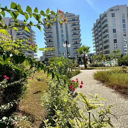 아파트 Alfa Homes *
